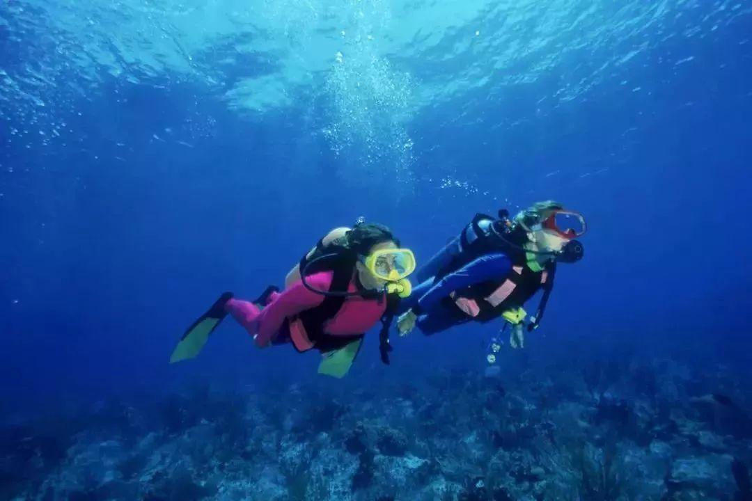 最后一批战犯特赦，有十人申请去台湾被拒绝，其中一人自杀身亡
